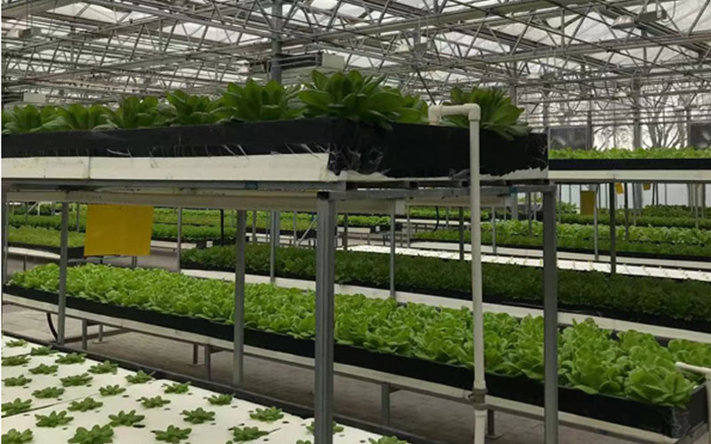 尊龙凯时·(中国集团)人生就是搏!